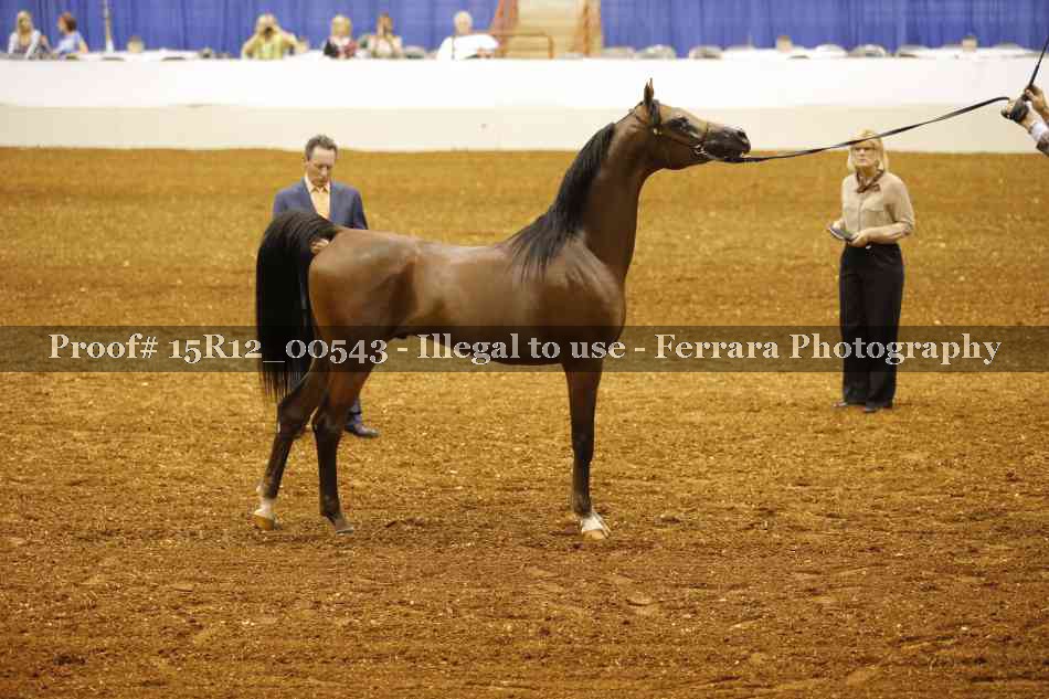 Proof 15R12_00543
