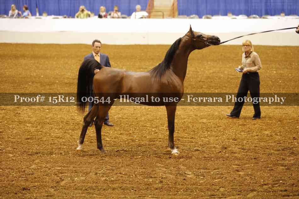 Proof 15R12_00544