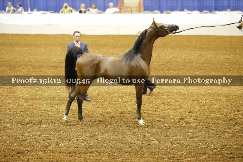 Proof 15R12_00545