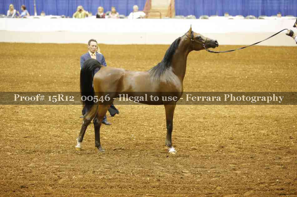 Proof 15R12_00546