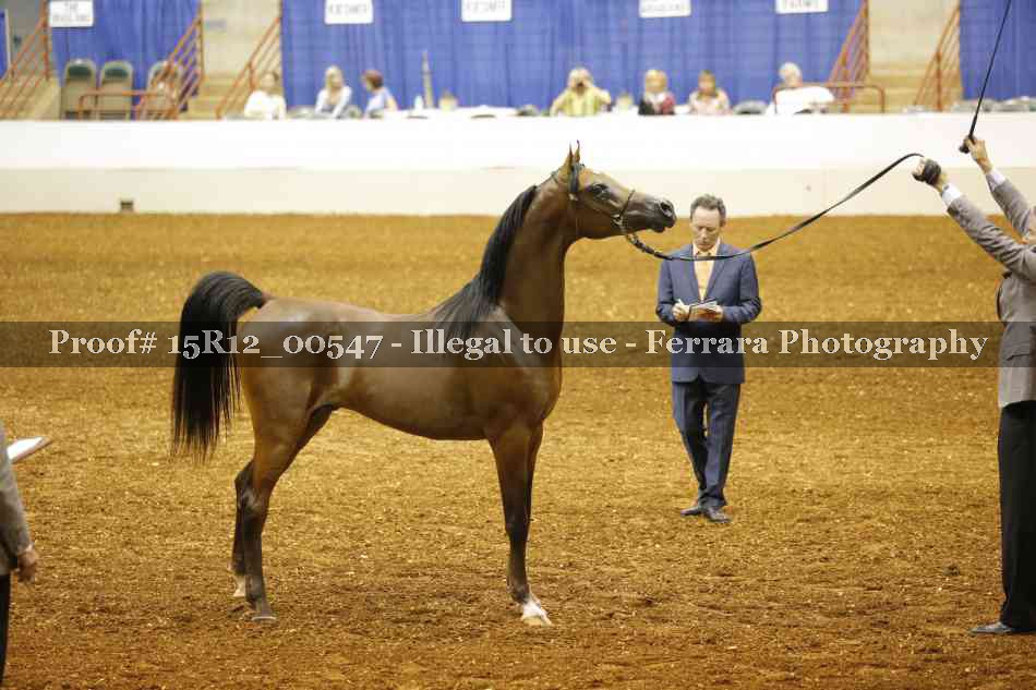 Proof 15R12_00547