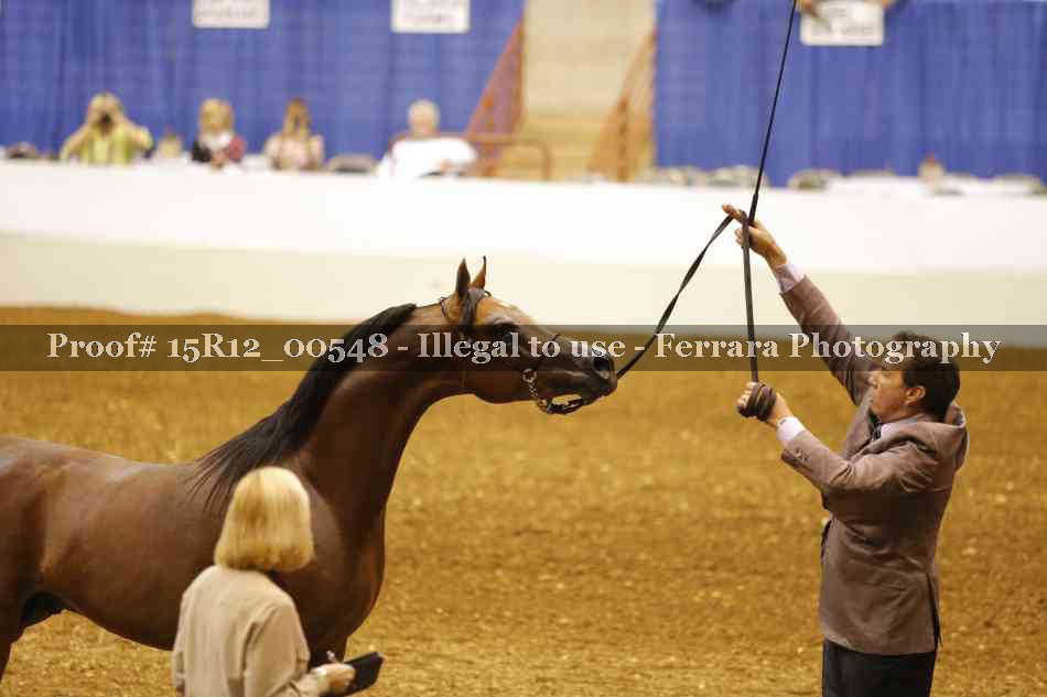 Proof 15R12_00548