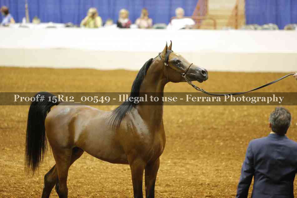 Proof 15R12_00549