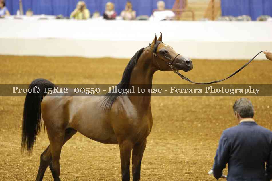 Proof 15R12_00550