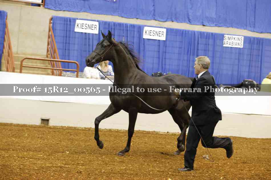 Proof 15R12_00565