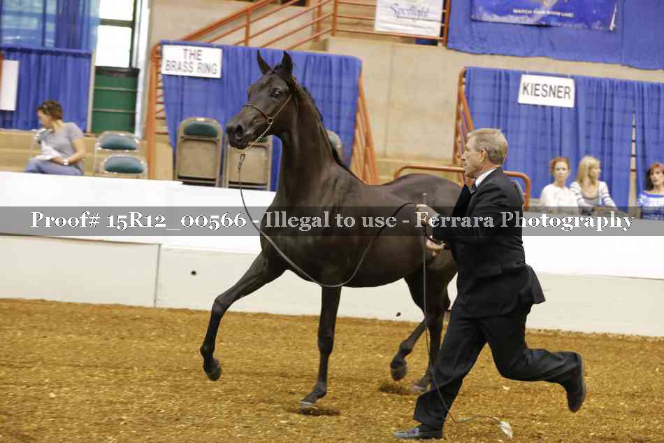 Proof 15R12_00566