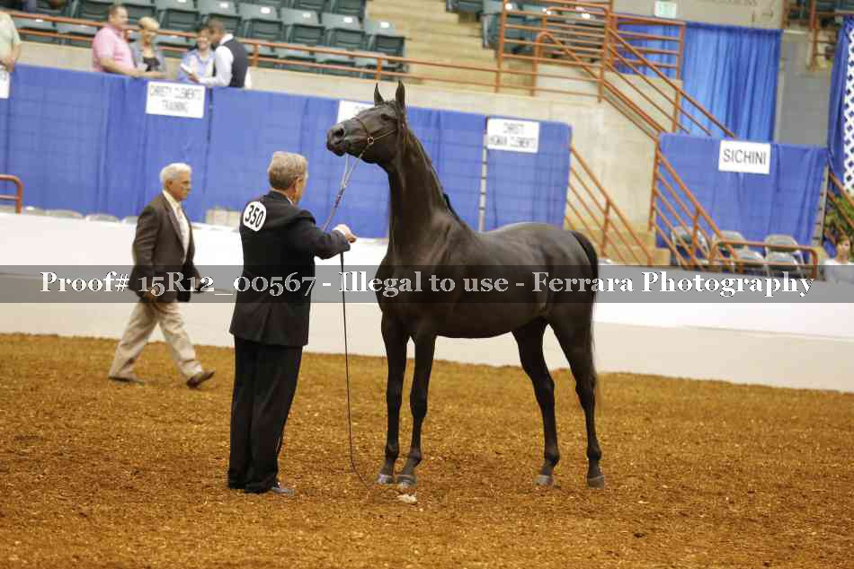 Proof 15R12_00567