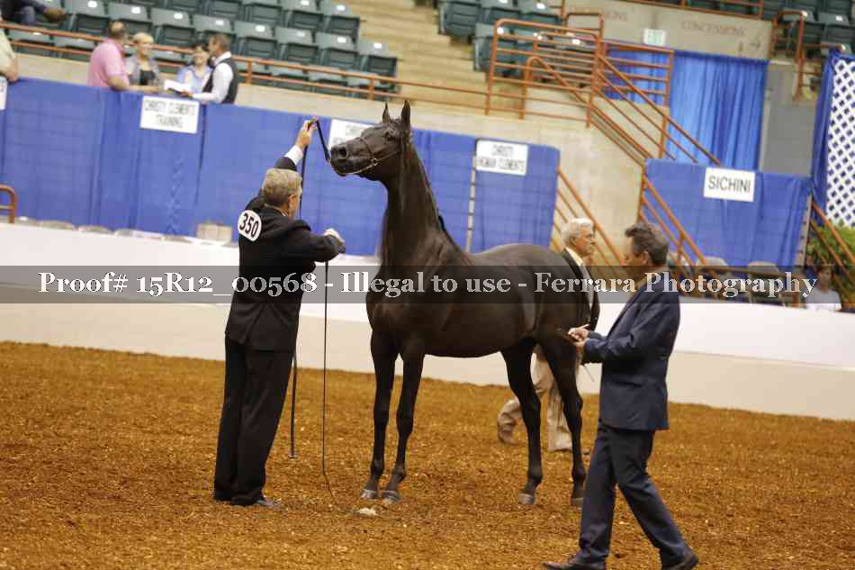 Proof 15R12_00568