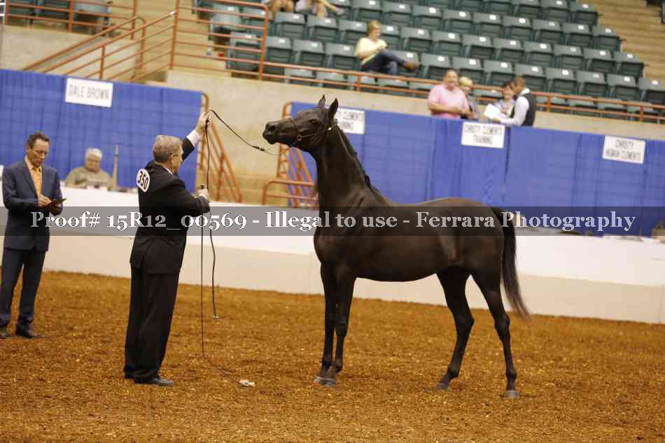 Proof 15R12_00569