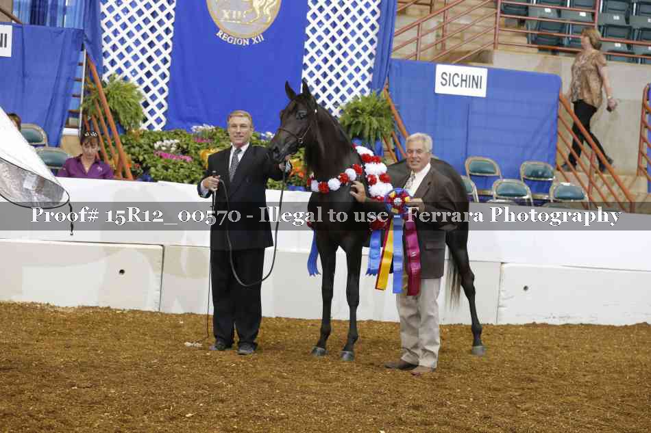 Proof 15R12_00570