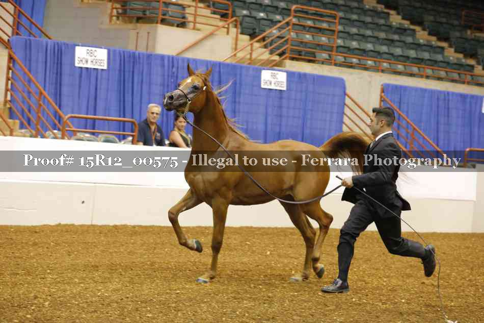 Proof 15R12_00575