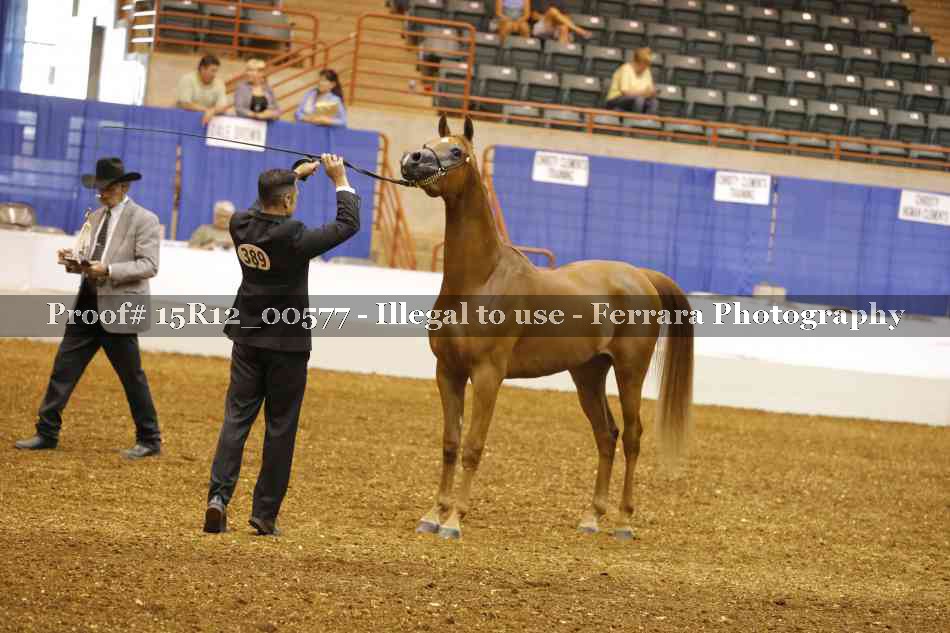 Proof 15R12_00577