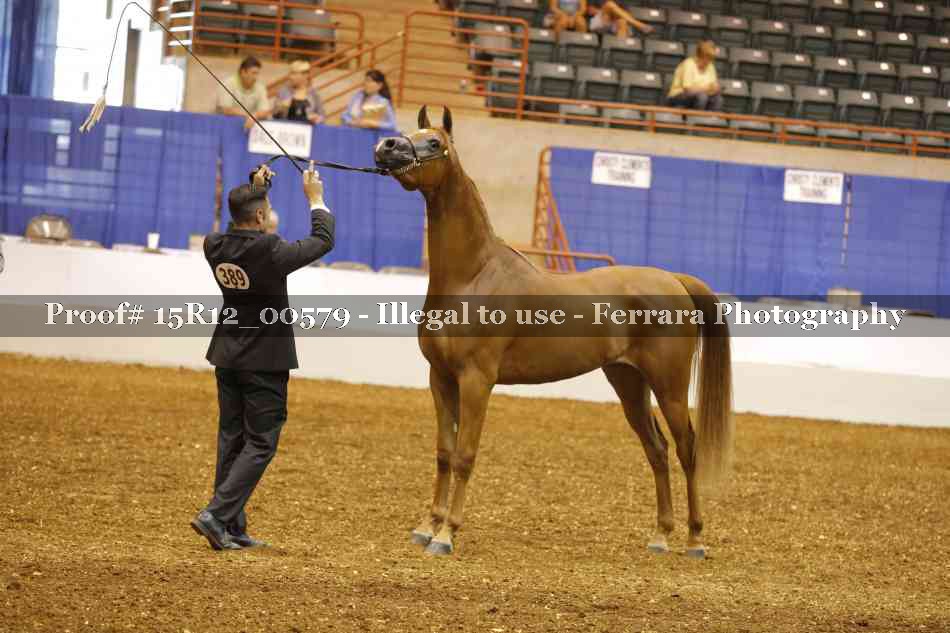 Proof 15R12_00579