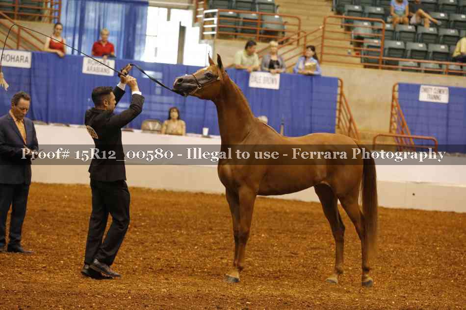 Proof 15R12_00580