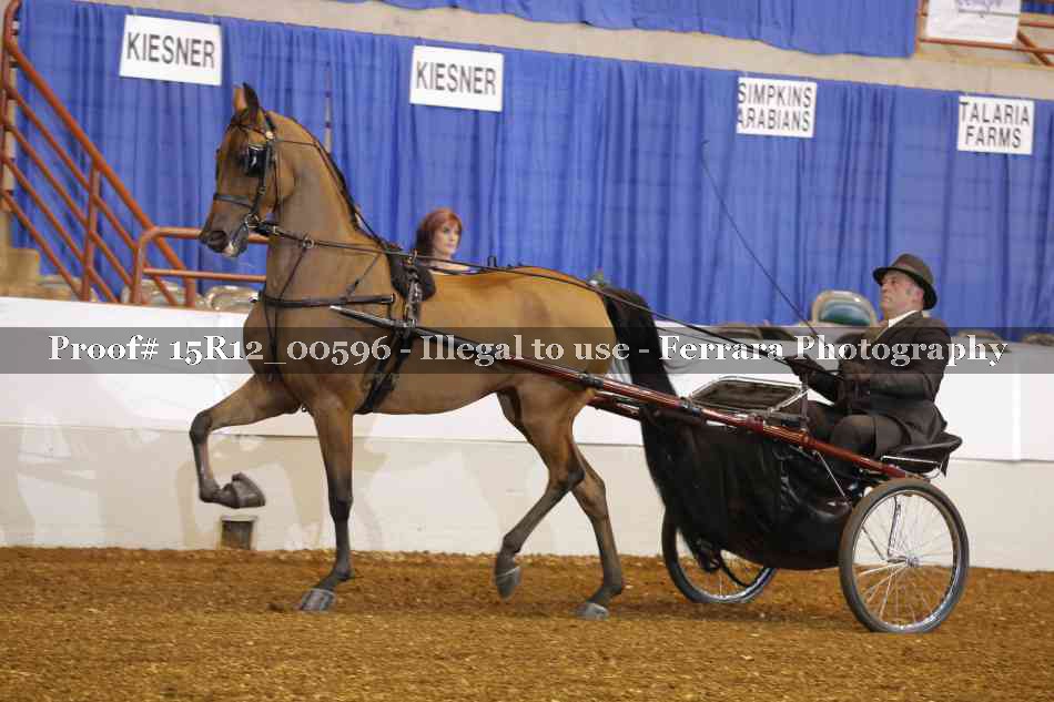 Proof 15R12_00596