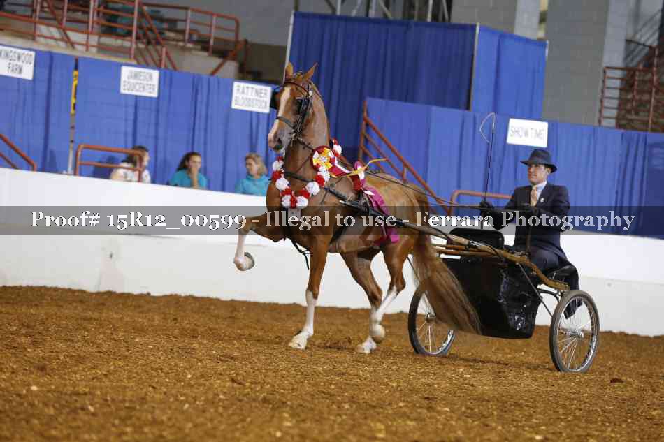 Proof 15R12_00599