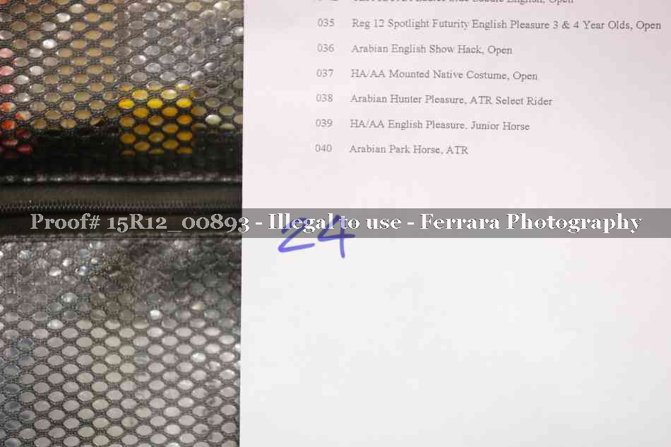 Proof 15R12_00893