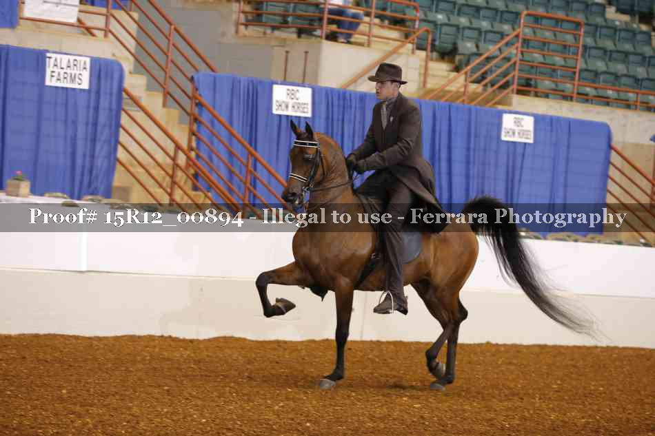 Proof 15R12_00894