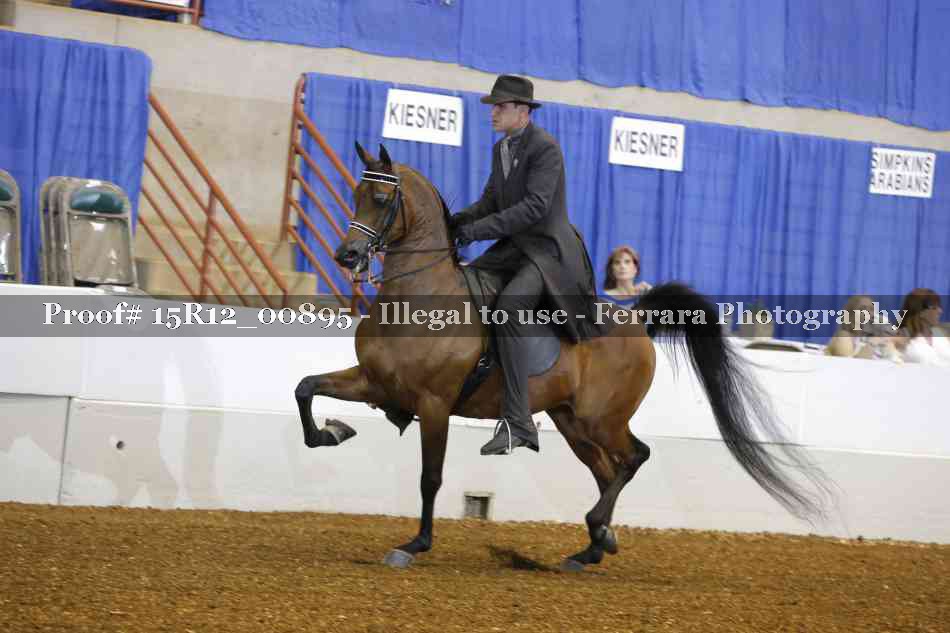 Proof 15R12_00895