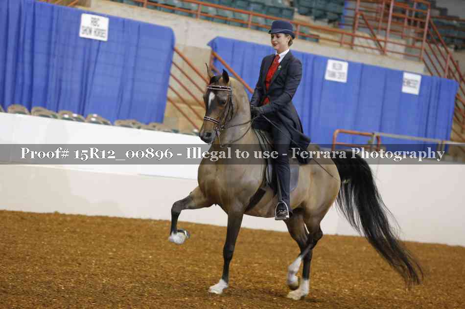 Proof 15R12_00896