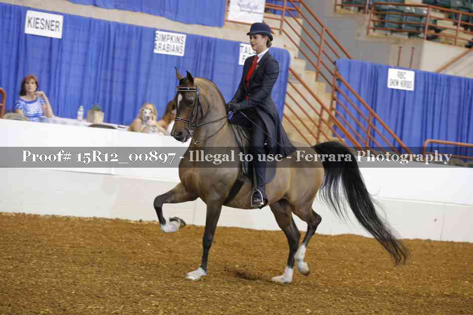 Proof 15R12_00897
