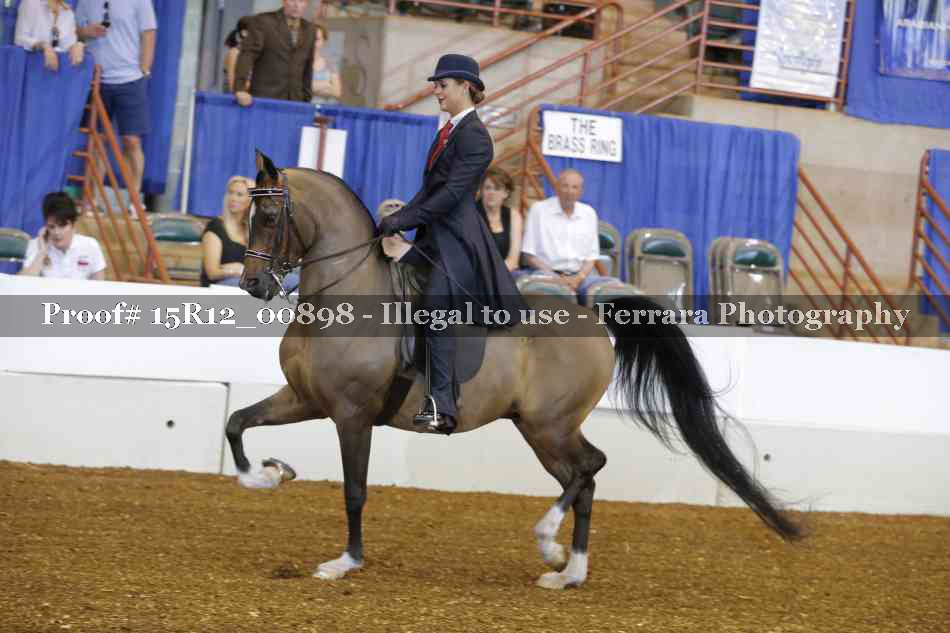 Proof 15R12_00898