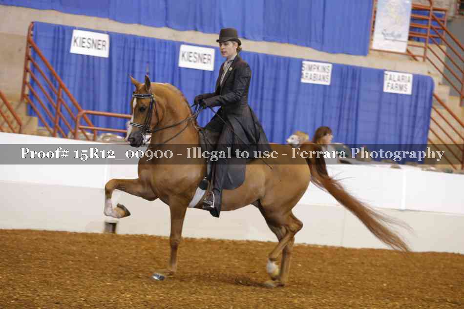 Proof 15R12_00900
