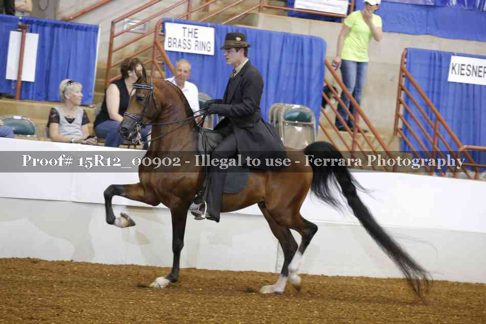 Proof 15R12_00902