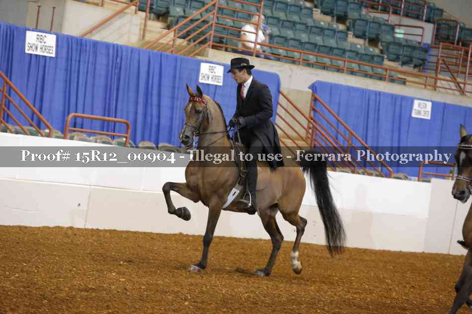 Proof 15R12_00904
