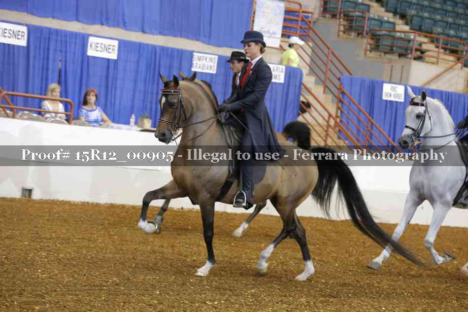 Proof 15R12_00905