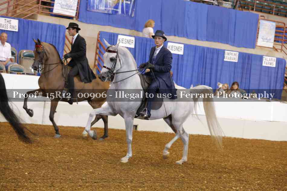 Proof 15R12_00906