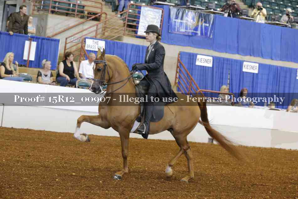 Proof 15R12_00907