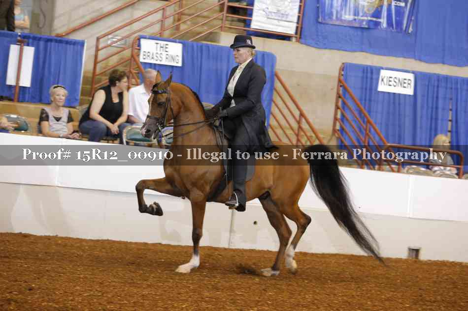 Proof 15R12_00910