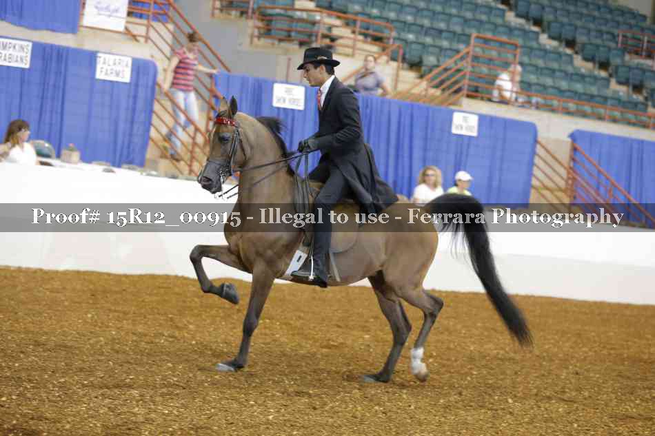 Proof 15R12_00915