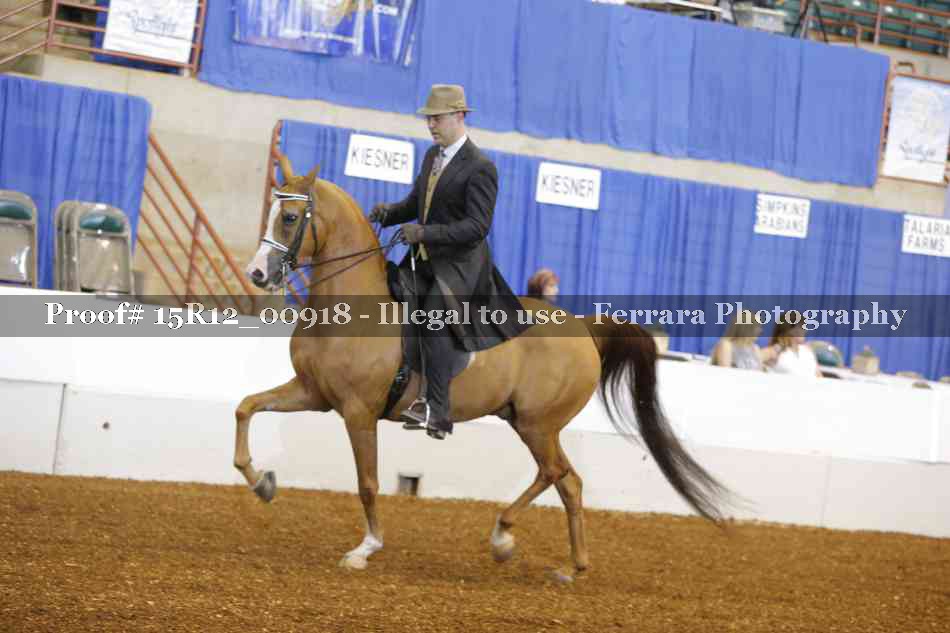 Proof 15R12_00918