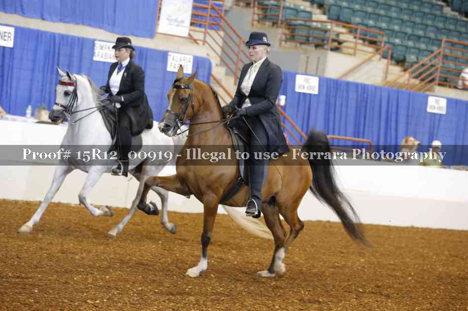 Proof 15R12_00919