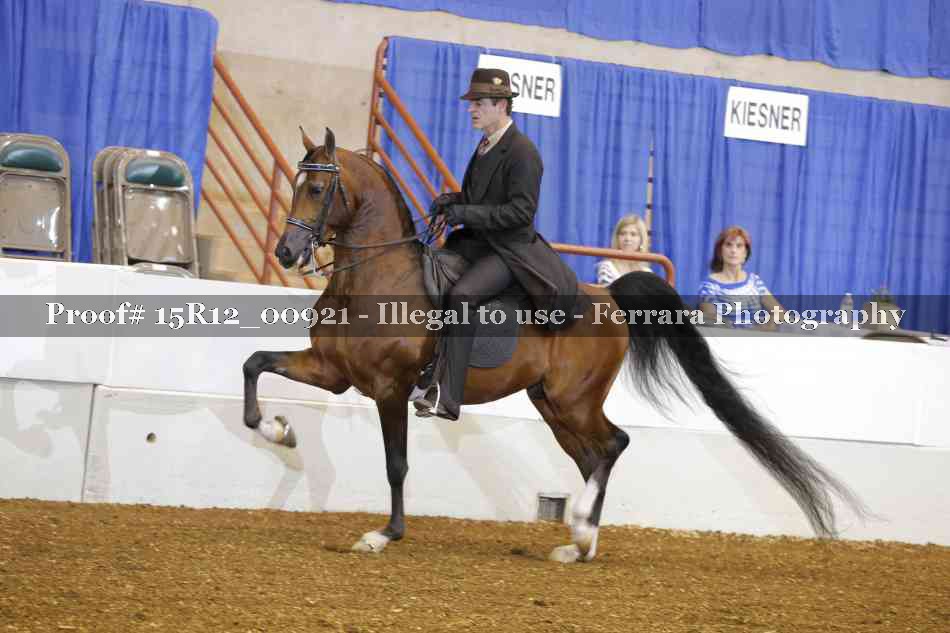 Proof 15R12_00921
