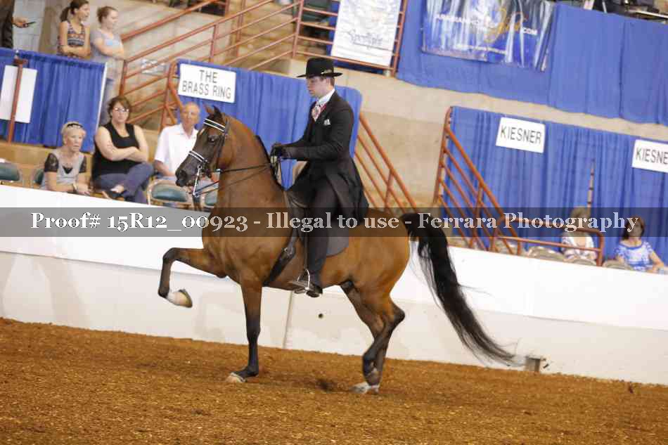 Proof 15R12_00923
