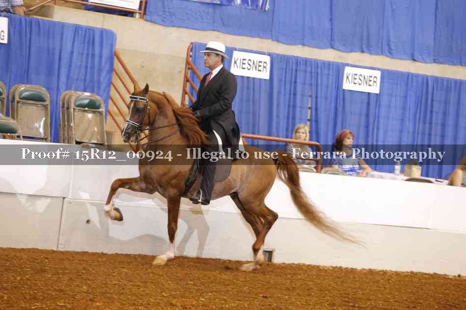 Proof 15R12_00924