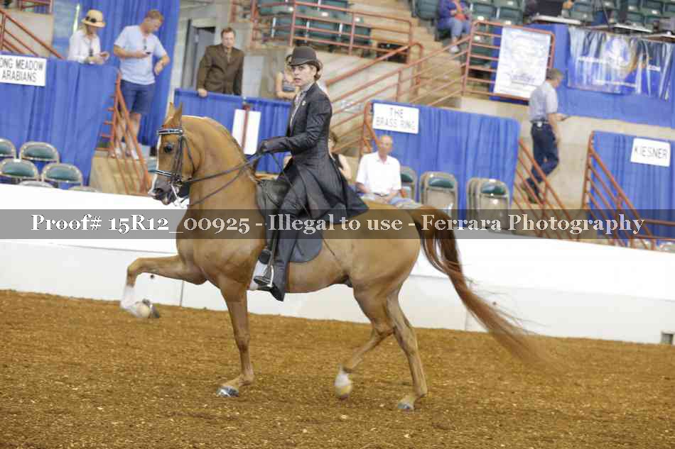 Proof 15R12_00925