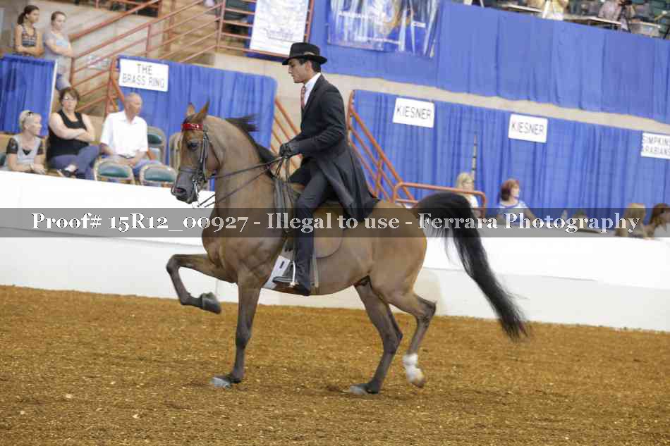 Proof 15R12_00927