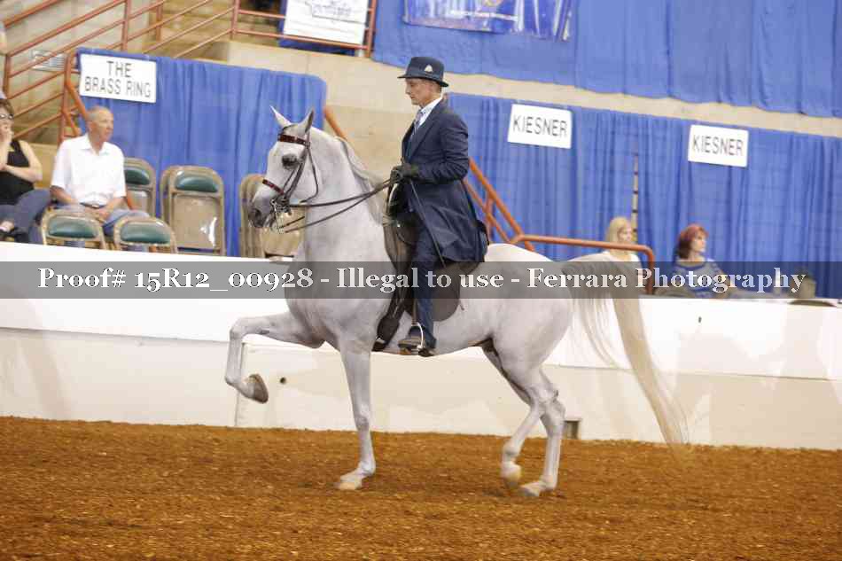 Proof 15R12_00928