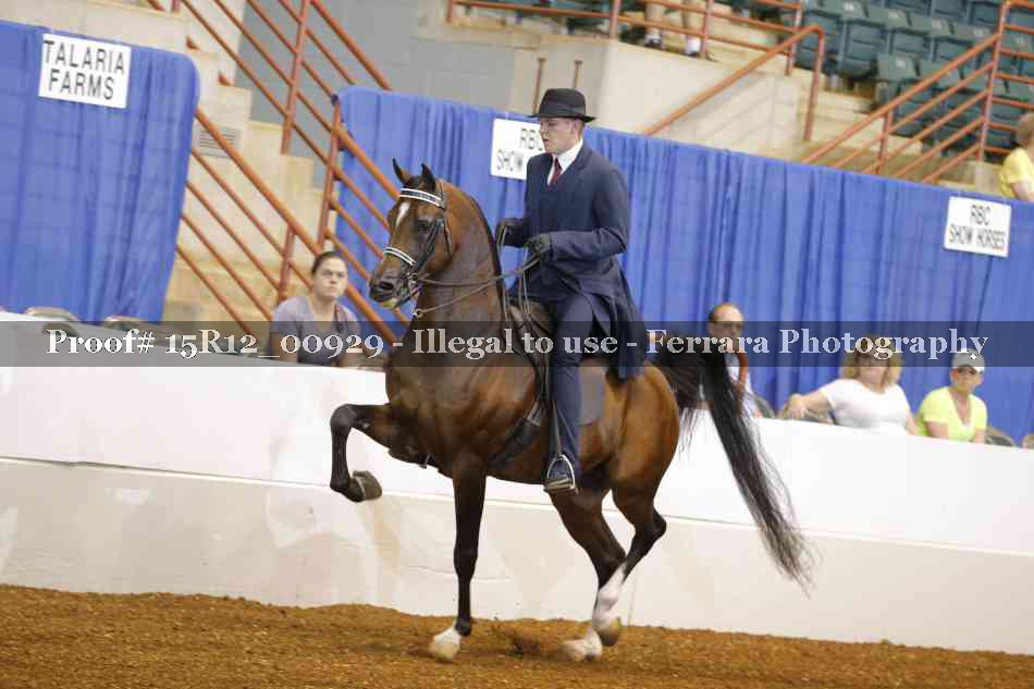 Proof 15R12_00929
