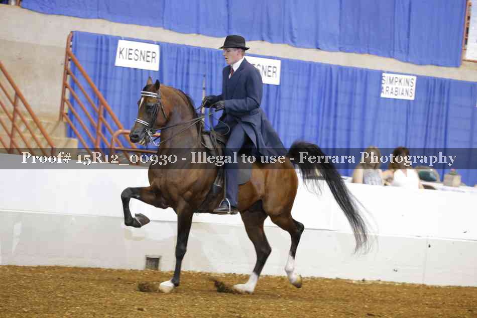 Proof 15R12_00930