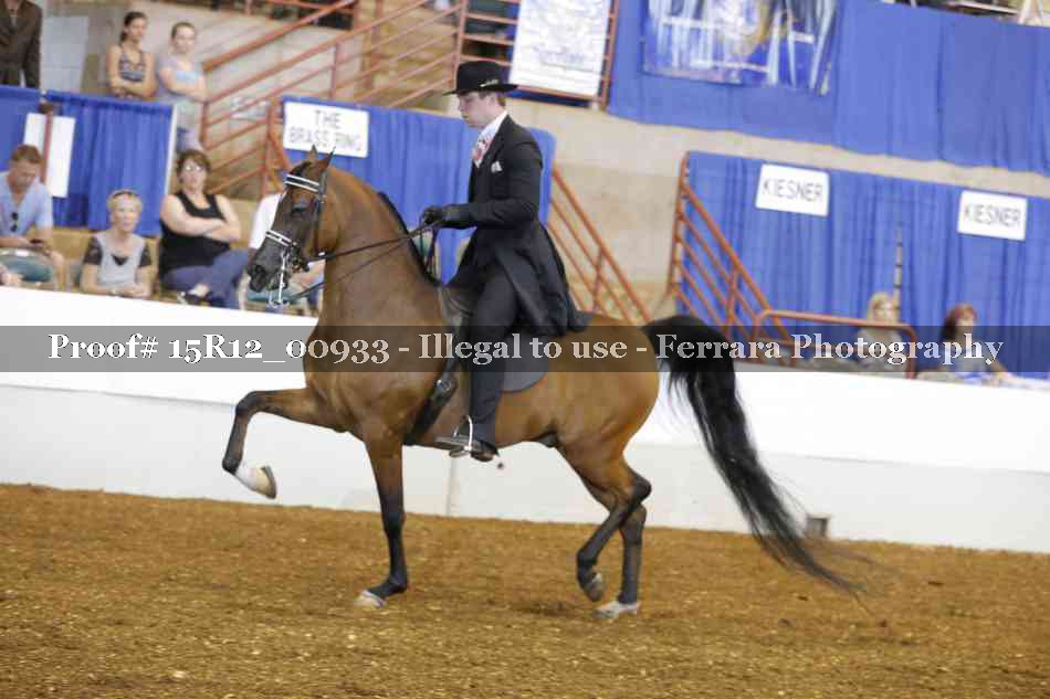 Proof 15R12_00933