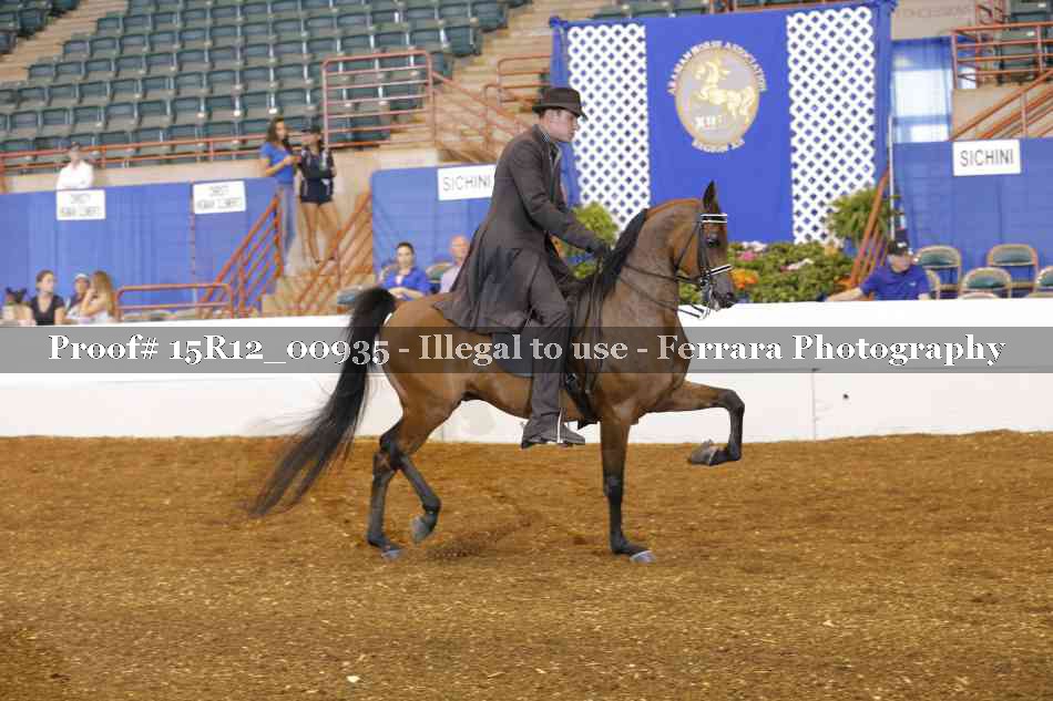 Proof 15R12_00935