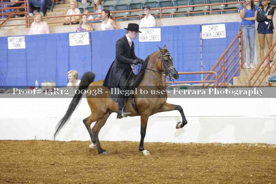 Proof 15R12_00938