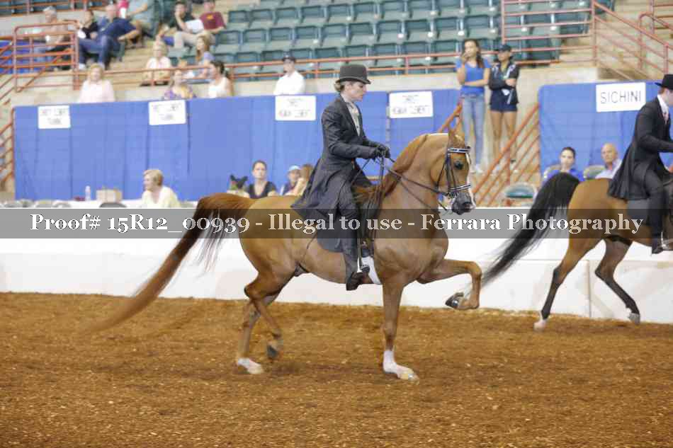 Proof 15R12_00939
