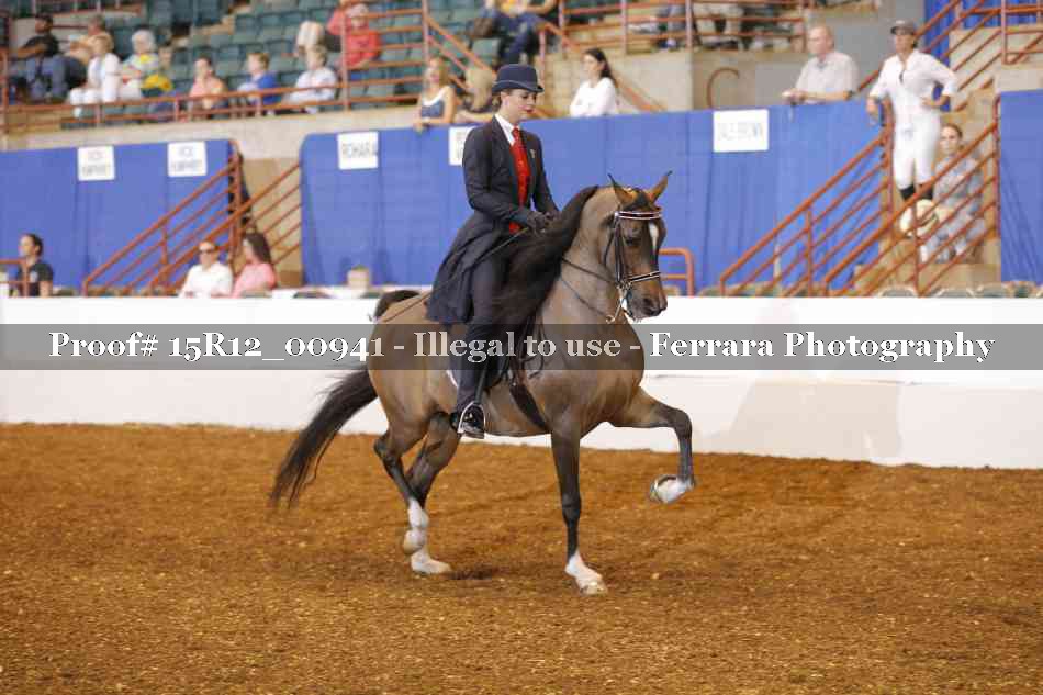 Proof 15R12_00941