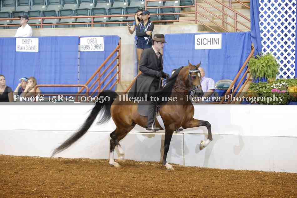 Proof 15R12_00950